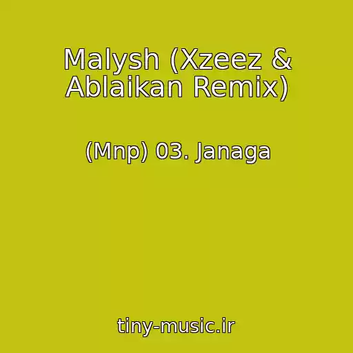 کاور آهنگ Malysh (Xzeez & Ablaikan Remix) از (Mnp) 03. Janaga