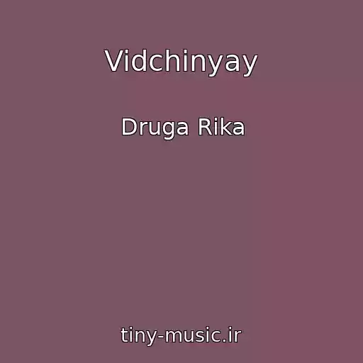 کاور آهنگ Vidchinyay از Druga Rika