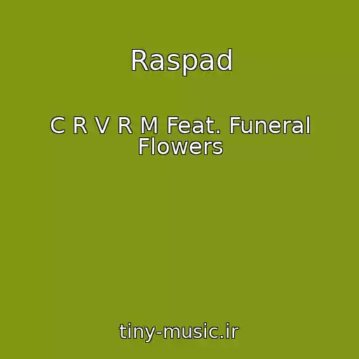 کاور آهنگ Raspad از C R V R M Feat. Funeral Flowers