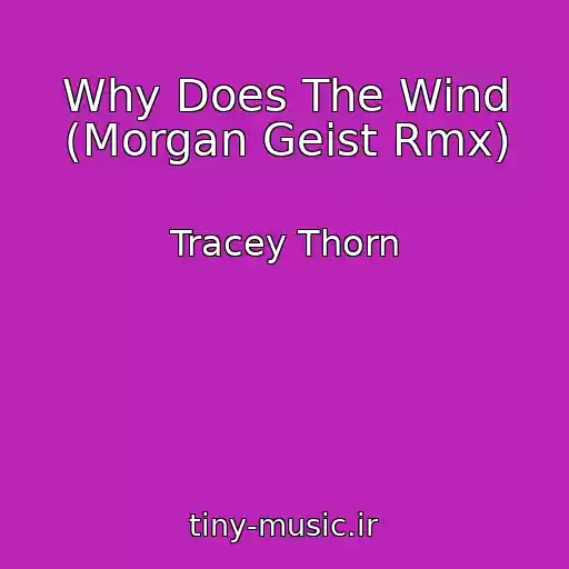 کاور آهنگ Why Does The Wind (Morgan Geist Rmx) از Tracey Thorn