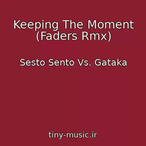 کاور آهنگ Keeping The Moment (Faders Rmx) از Sesto Sento Vs. Gataka