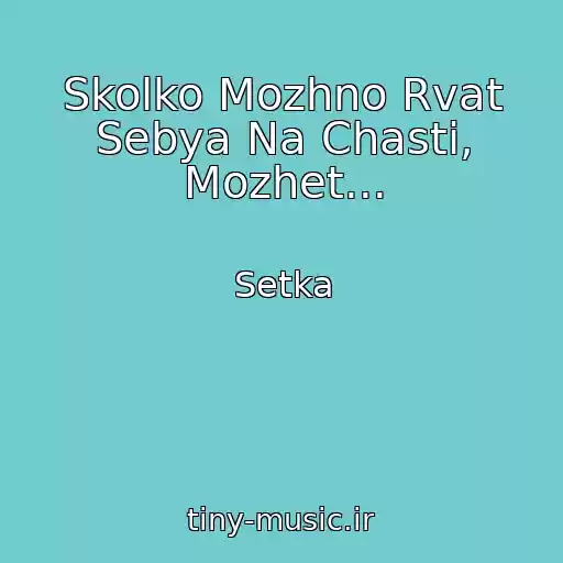 کاور آهنگ Skolko Mozhno Rvat Sebya Na Chasti, Mozhet... از Setka