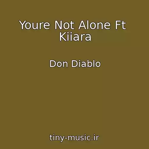 کاور آهنگ Youre Not Alone Ft  Kiiara از Don Diablo