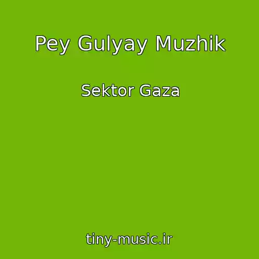 کاور آهنگ Pey Gulyay Muzhik از Sektor Gaza