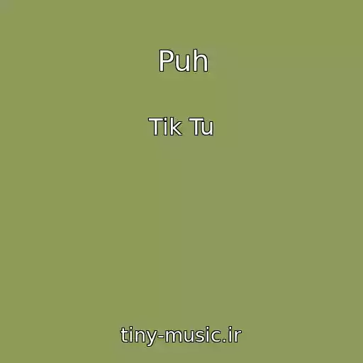 کاور آهنگ Puh از Tik Tu