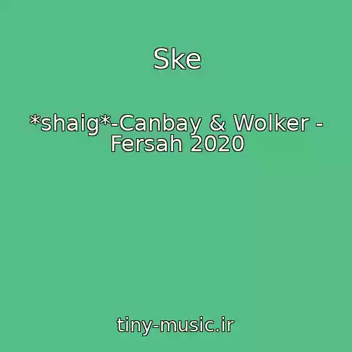 کاور آهنگ Ske از *shaig*-Canbay & Wolker - Fersah 2020