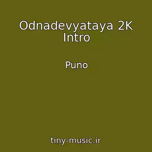 کاور آهنگ Odnadevyataya 2K Intro از Puno