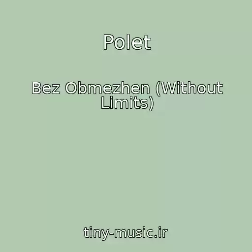 کاور آهنگ Polet از Bez Obmezhen (Without Limits)
