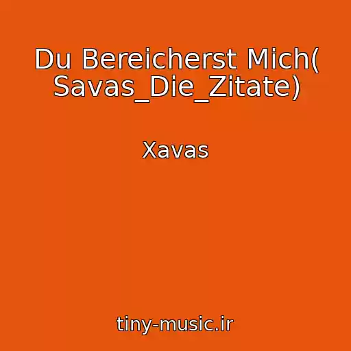 کاور آهنگ Du Bereicherst Mich( Savas_Die_Zitate) از Xavas
