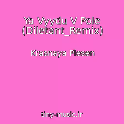 کاور آهنگ Ya Vyydu V Pole (Diletant_Remix) از Krasnaya Plesen