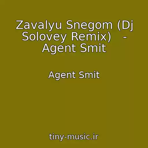 کاور آهنگ Zavalyu Snegom (Dj Solovey Remix)   - Agent Smit از Agent Smit