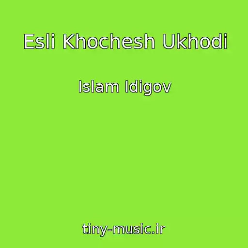 کاور آهنگ Esli Khochesh Ukhodi از Islam Idigov