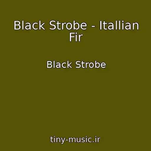 کاور آهنگ Black Strobe - Itallian Fir از Black Strobe