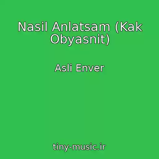 کاور آهنگ Nasil Anlatsam (Kak Obyasnit) از Asli Enver