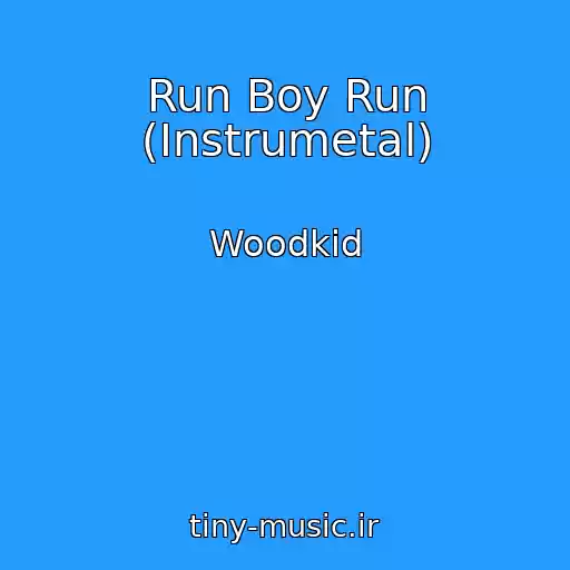 کاور آهنگ Run Boy Run (Instrumetal) از Woodkid