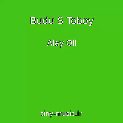 کاور آهنگ Budu S Toboy از Alay Oli
