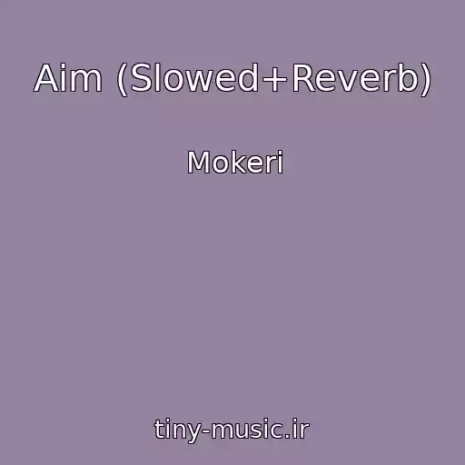 کاور آهنگ Aim (Slowed+Reverb) از Mokeri