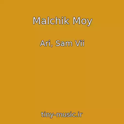 کاور آهنگ Malchik Moy از Ari, Sam Vii