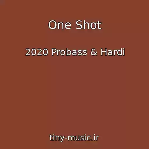 کاور آهنگ One Shot از 2020 Probass & Hardi