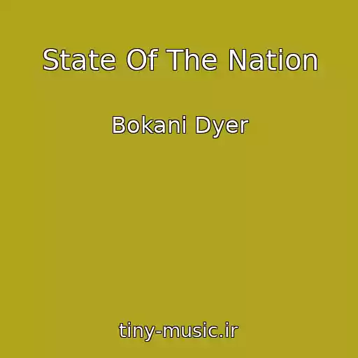 کاور آهنگ State Of The Nation از Bokani Dyer