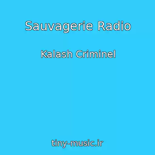 کاور آهنگ Sauvagerie Radio از Kalash Criminel