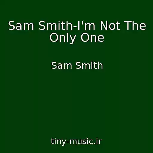 کاور آهنگ Sam Smith-I'm Not The Only One از Sam Smith