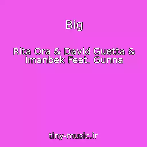 کاور آهنگ Big از Rita Ora & David Guetta & Imanbek Feat. Gunna