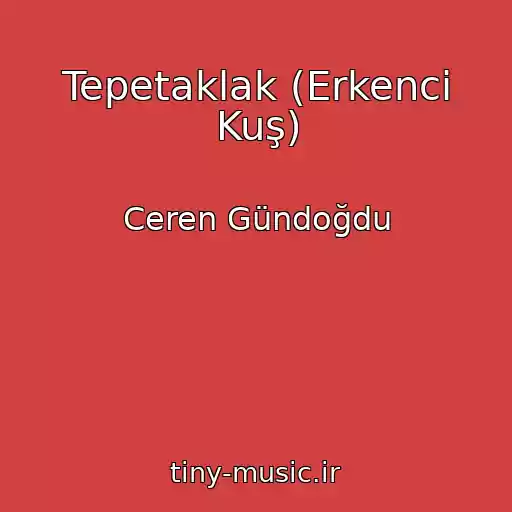 کاور آهنگ Tepetaklak (Erkenci Kuş) از Ceren Gündoğdu