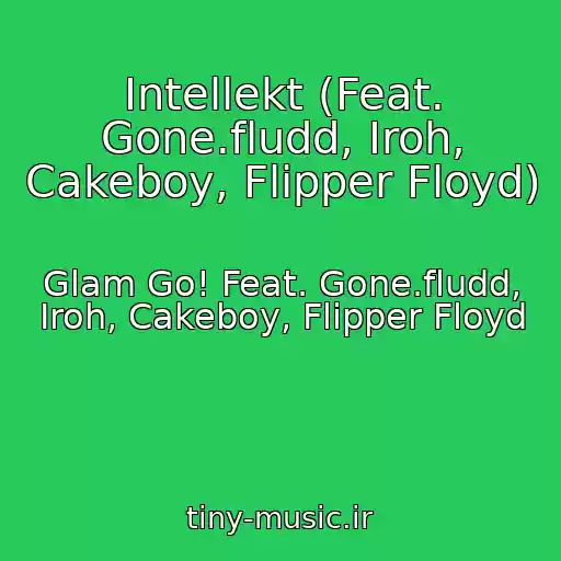 کاور آهنگ Intellekt (Feat. Gone.fludd, Iroh, Cakeboy, Flipper Floyd) از Glam Go! Feat. Gone.fludd, Iroh, Cakeboy, Flipper Floyd