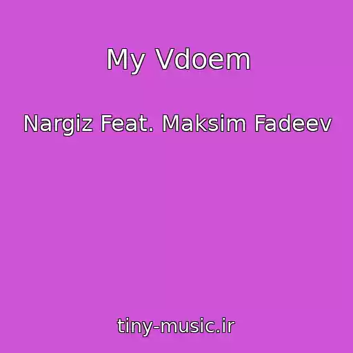 کاور آهنگ My Vdoem از Nargiz Feat. Maksim Fadeev
