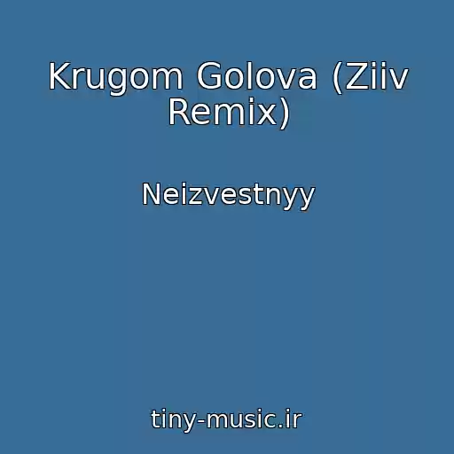 کاور آهنگ Krugom Golova (Ziiv Remix) از Neizvestnyy