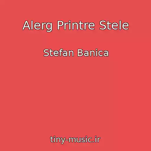 کاور آهنگ Alerg Printre Stele از Stefan Banica