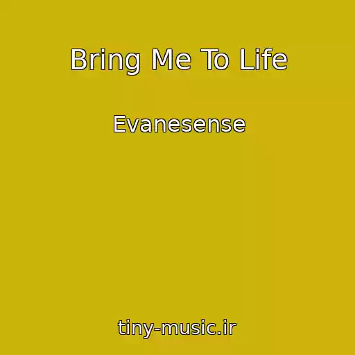 کاور آهنگ Bring Me To Life از Evanesense