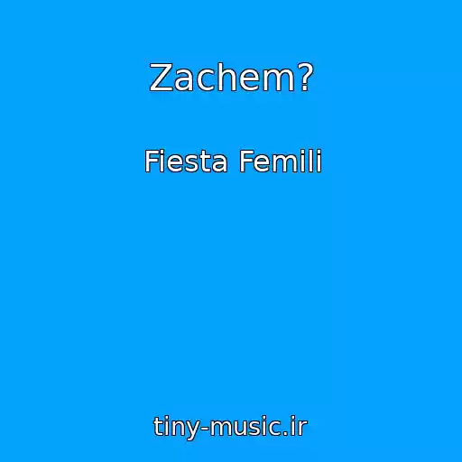 کاور آهنگ Zachem? از Fiesta Femili