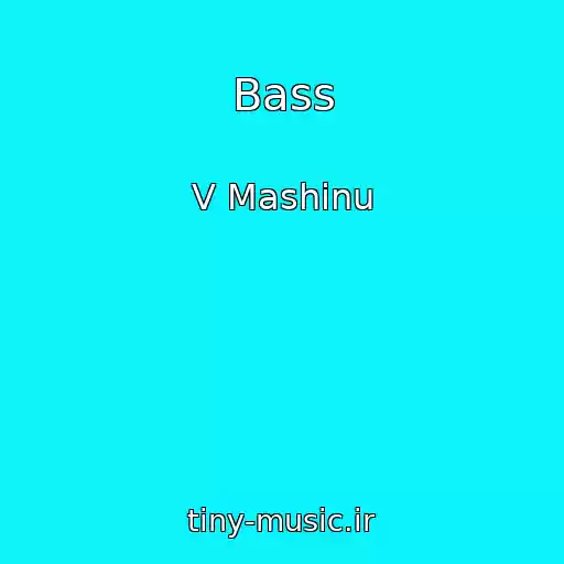 کاور آهنگ Bass از V Mashinu