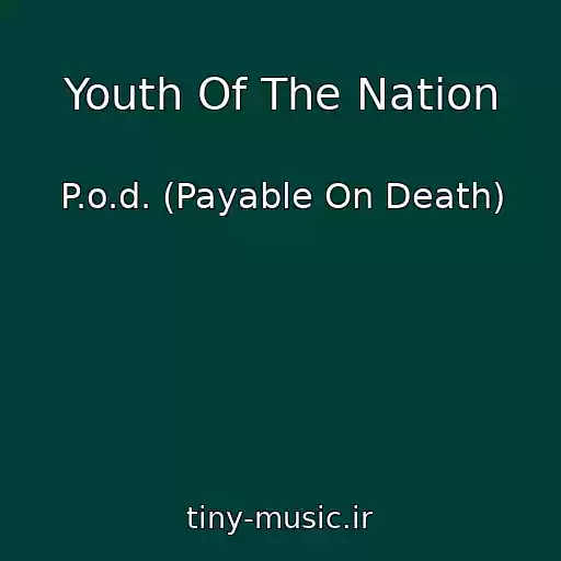 کاور آهنگ Youth Of The Nation از P.o.d. (Payable On Death)