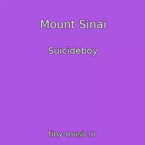 کاور آهنگ Mount Sinai از Suicideboy