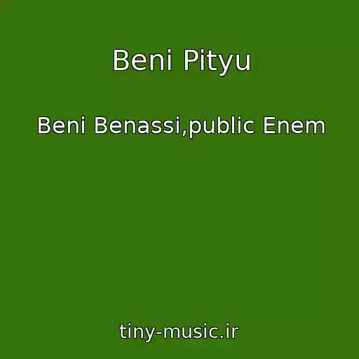 کاور آهنگ Beni Pityu از Beni Benassi,public Enem