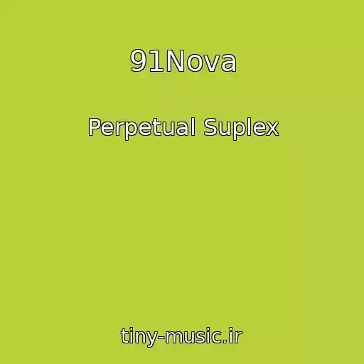 کاور آهنگ 91Nova از Perpetual Suplex