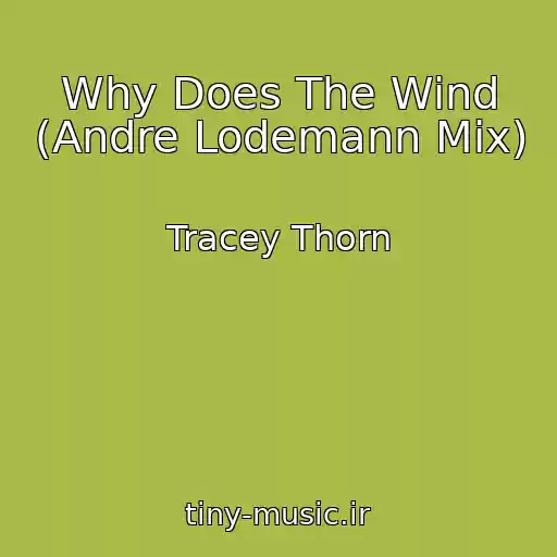کاور آهنگ Why Does The Wind (Andre Lodemann Mix) از Tracey Thorn