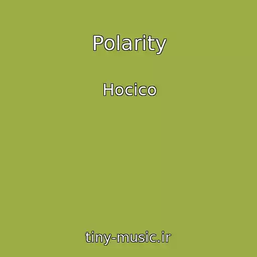 کاور آهنگ Polarity از Hocico