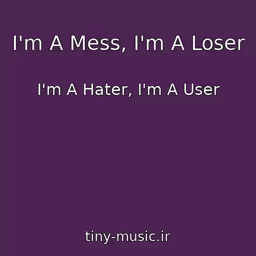 کاور آهنگ I'm A Mess, I'm A Loser از I'm A Hater, I'm A User