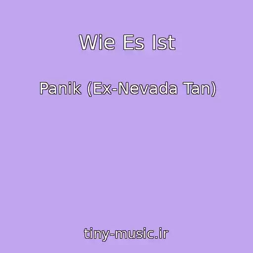 کاور آهنگ Wie Es Ist از Panik (Ex-Nevada Tan)