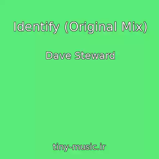 کاور آهنگ Identify (Original Mix) از Dave Steward