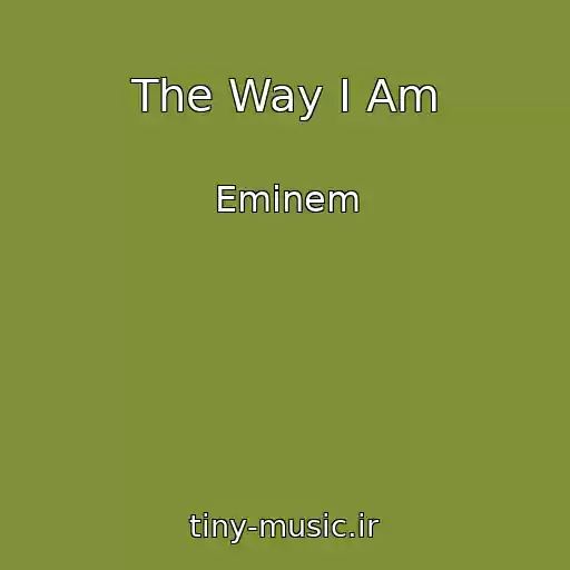 کاور آهنگ The Way I Am از Eminem