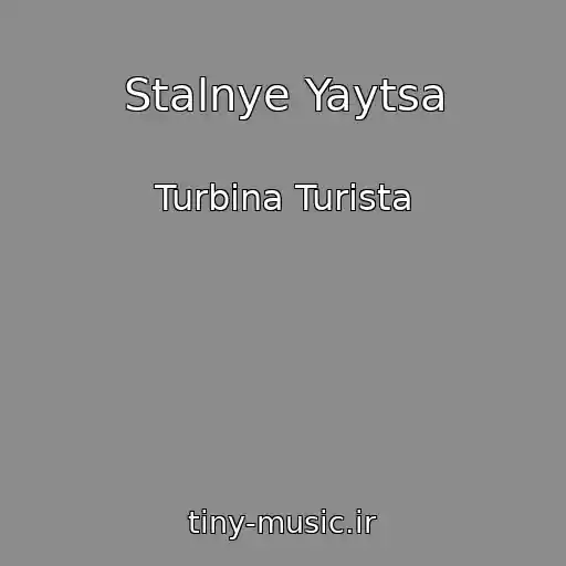 کاور آهنگ Stalnye Yaytsa از Turbina Turista
