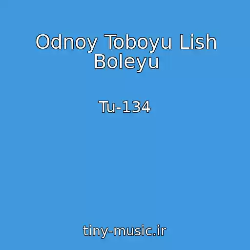 کاور آهنگ Odnoy Toboyu Lish Boleyu از Tu-134