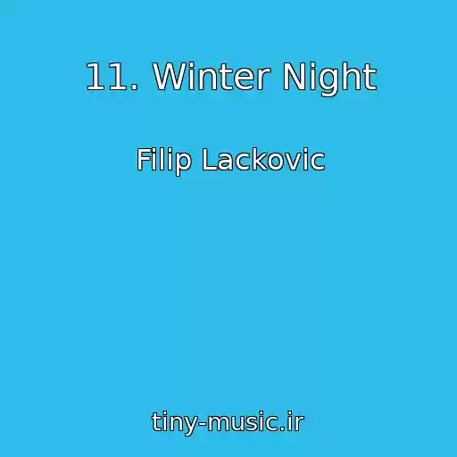 کاور آهنگ 11. Winter Night از Filip Lackovic