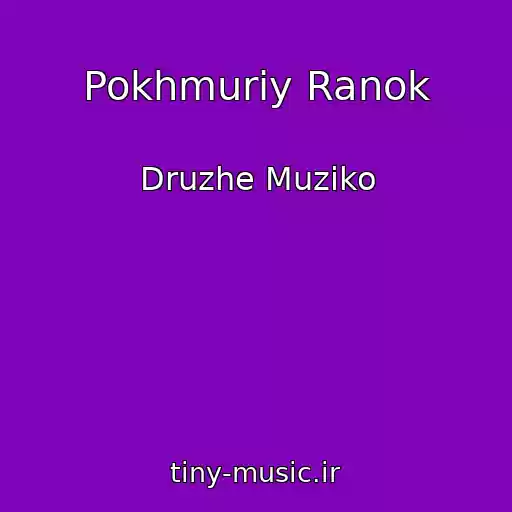 کاور آهنگ Pokhmuriy Ranok از Druzhe Muziko
