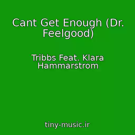 کاور آهنگ Cant Get Enough (Dr. Feelgood) از Tribbs Feat. Klara Hammarstrom